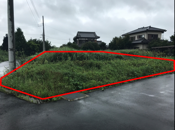 D-021写真 D-021写真