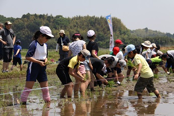 田植え１