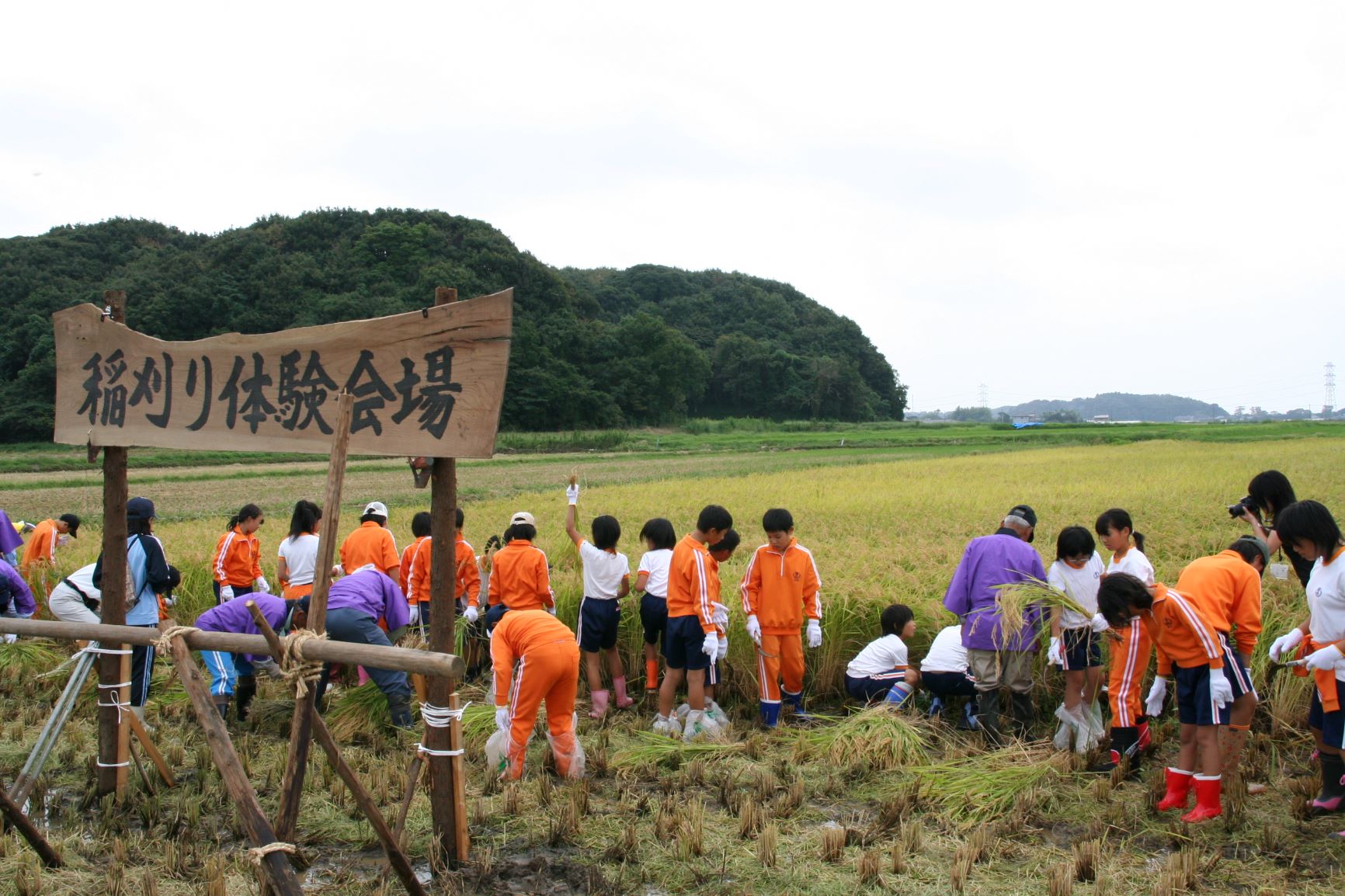 20周年_潮来あやめちゃん稲刈り体験会