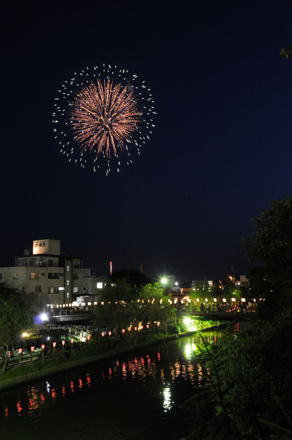 20周年_あやめ園花火