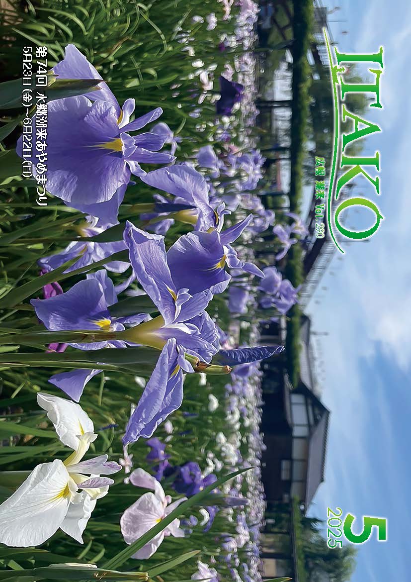vol.290表紙