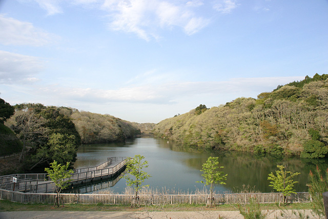 水郷県民の森2大