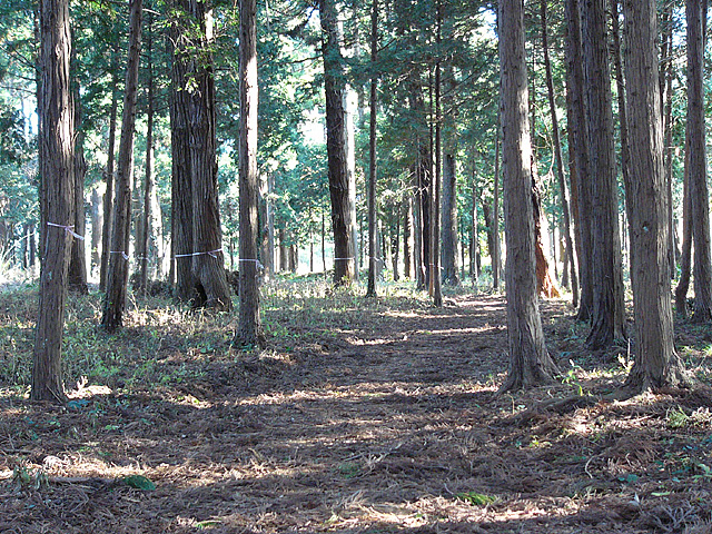 稲荷山公園2大