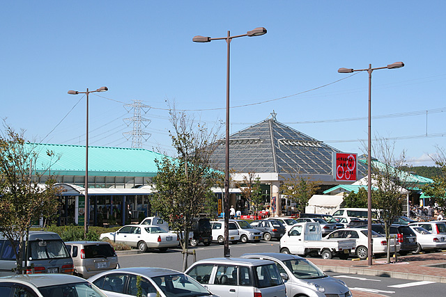 道の駅いたこ1大