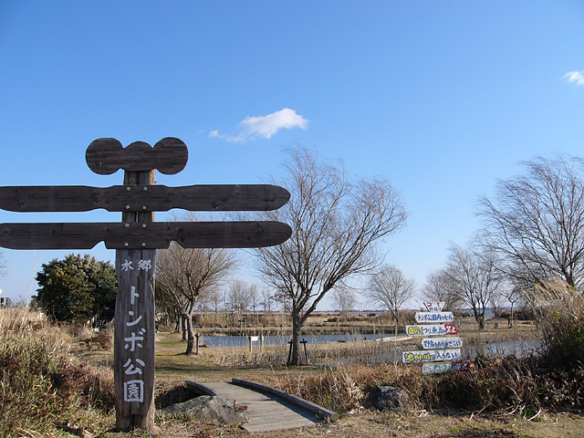 水郷トンボ公園2大