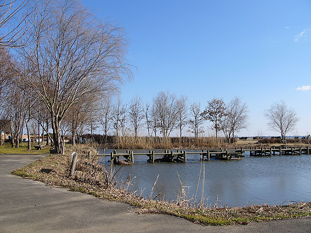 水郷トンボ公園3大