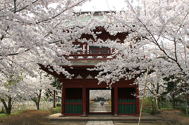 長勝寺2大