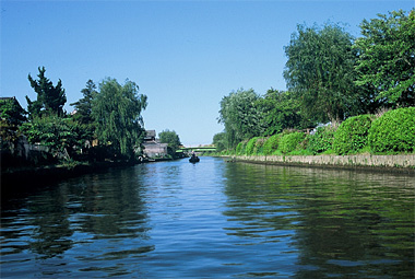 前川の橋