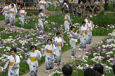 伝統芸能あやめおどり