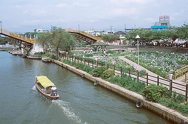 前川あやめ園沿いに流れる前川を遊覧