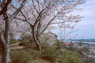 北利根川の景色