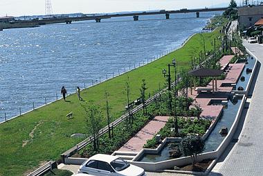 北利根川沿い芝生の公園