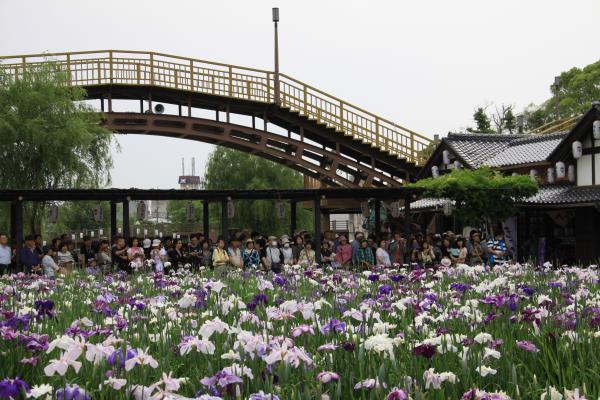 水郷潮来あやめまつり大会_2