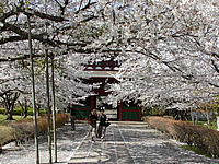 長勝寺_02