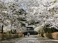 長勝寺_03