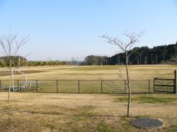 かすみの郷運動公園・小6