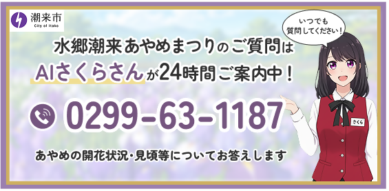 AI電話さくら　令和8年度あやめ祭りバナーをピックアップ